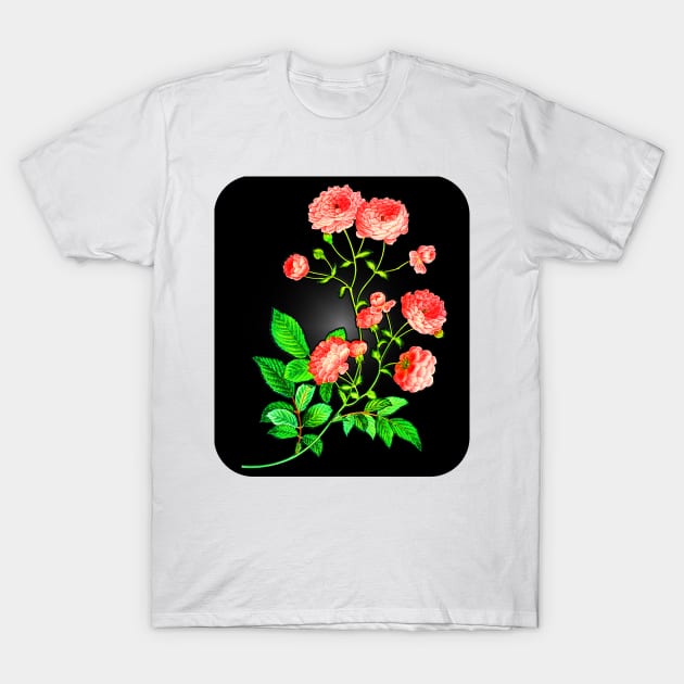 Black Panther Art - Rose Art 11 T-Shirt by The Black Panther